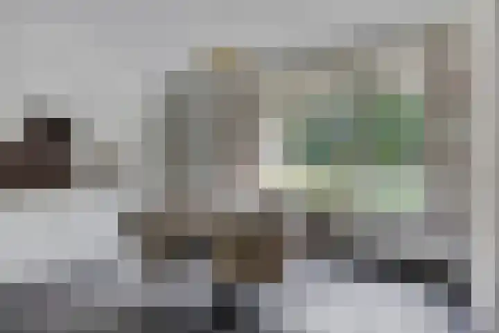 De Buytencamp 7 Bakel thumbnail 24