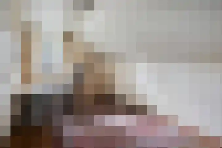 De Buytencamp 7 Bakel thumbnail 32