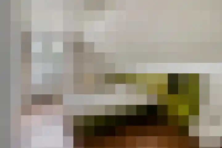 De Buytencamp 7 Bakel thumbnail 33