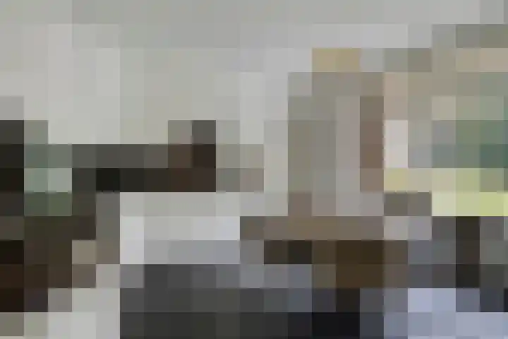 De Buytencamp 7 Bakel thumbnail 4