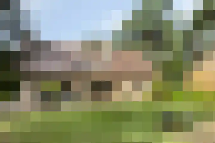 De Buytencamp 7 Bakel thumbnail 41