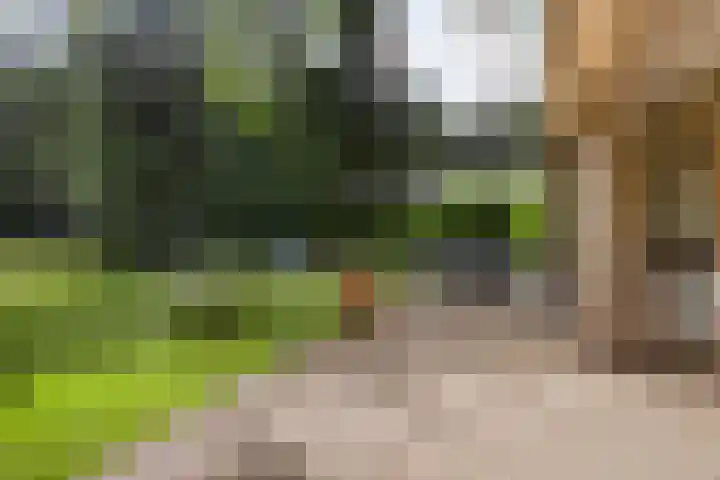 De Buytencamp 7 Bakel thumbnail 42