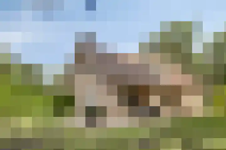 De Buytencamp 7 Bakel thumbnail 43