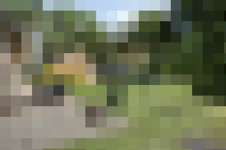 De Buytencamp 7 Bakel thumbnail 44