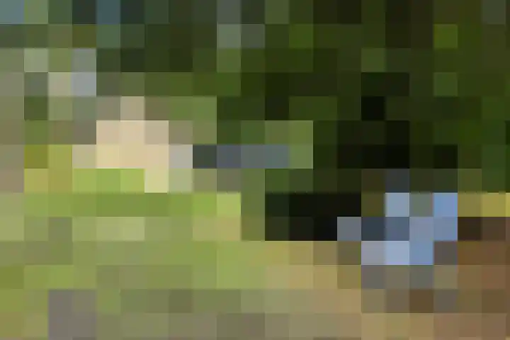 De Buytencamp 7 Bakel thumbnail 45