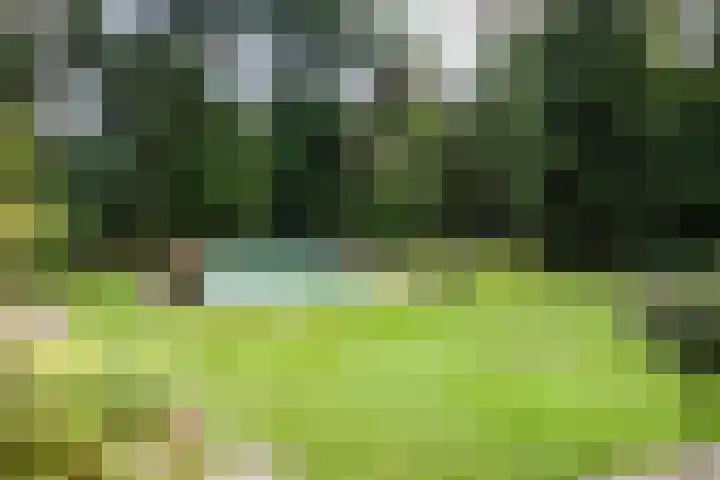 De Buytencamp 7 Bakel thumbnail 46