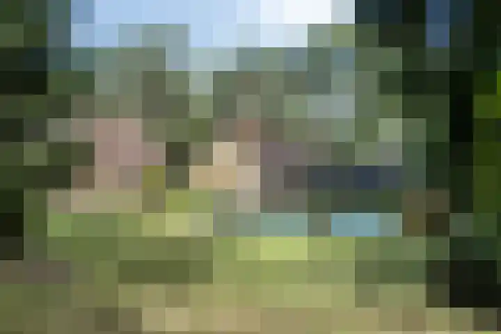 De Buytencamp 7 Bakel thumbnail 47