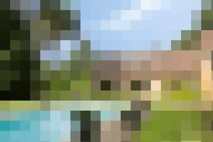 De Buytencamp 7 Bakel thumbnail 5