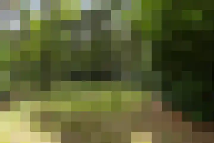 De Buytencamp 7 Bakel thumbnail 51