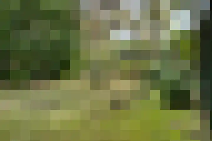 De Buytencamp 7 Bakel thumbnail 52
