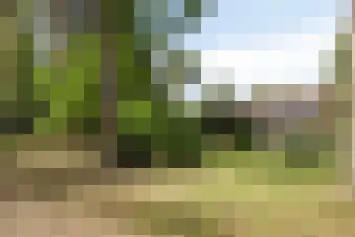 De Buytencamp 7 Bakel thumbnail 53