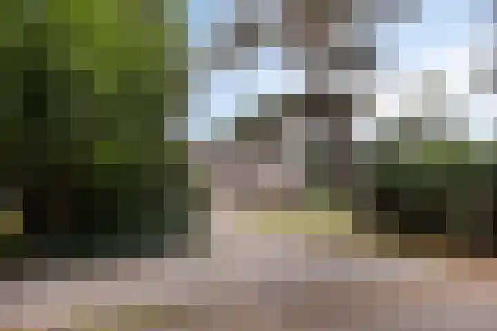 De Buytencamp 7 Bakel thumbnail 8