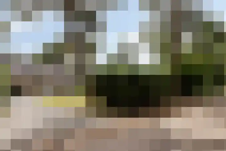 De Buytencamp 7 Bakel thumbnail 9