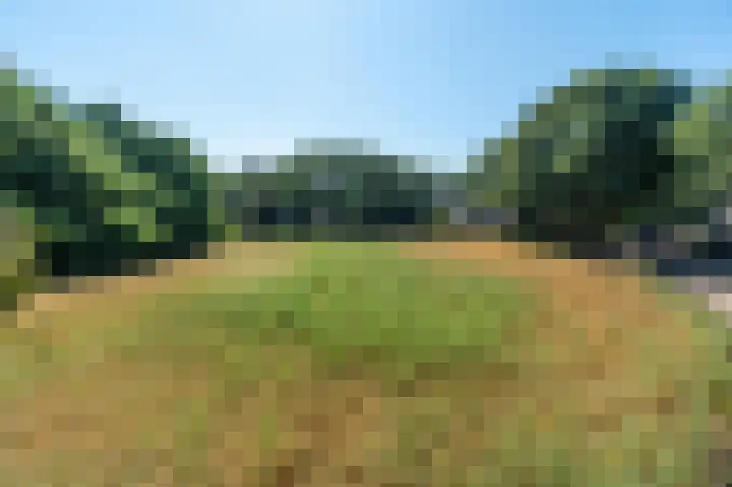 De Buytencamp Bakel thumbnail 6