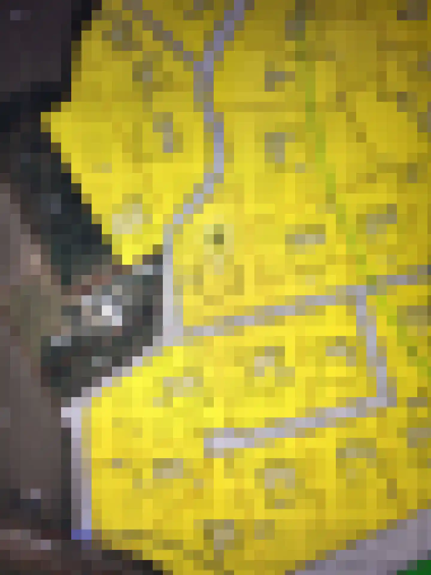 De Buytencamp Bakel thumbnail 8