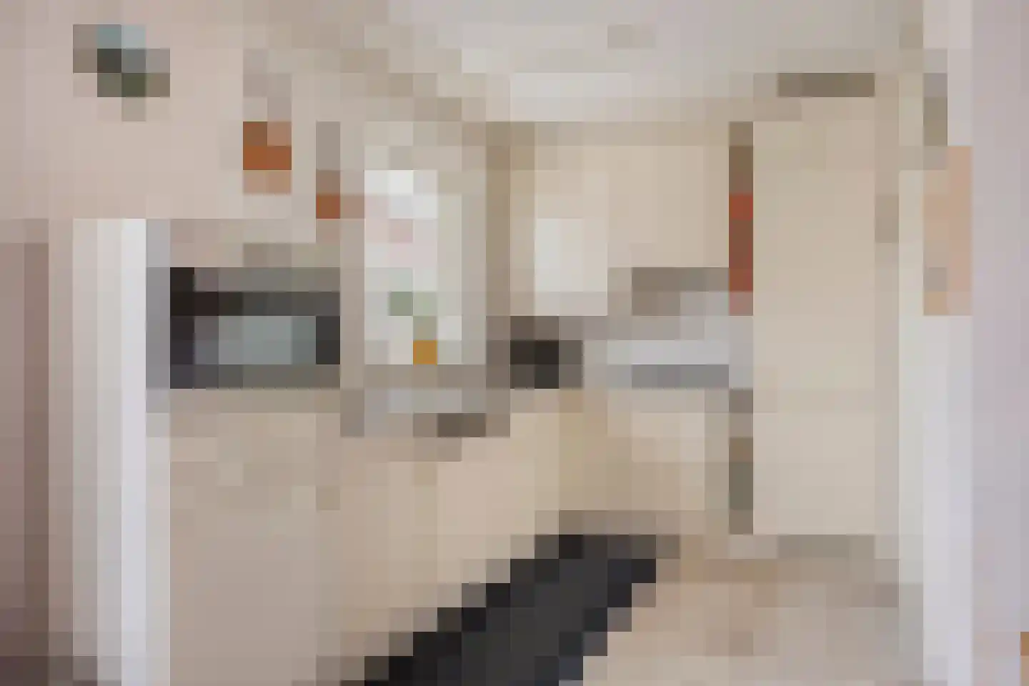 De Caascooper 8 Wormer thumbnail 14
