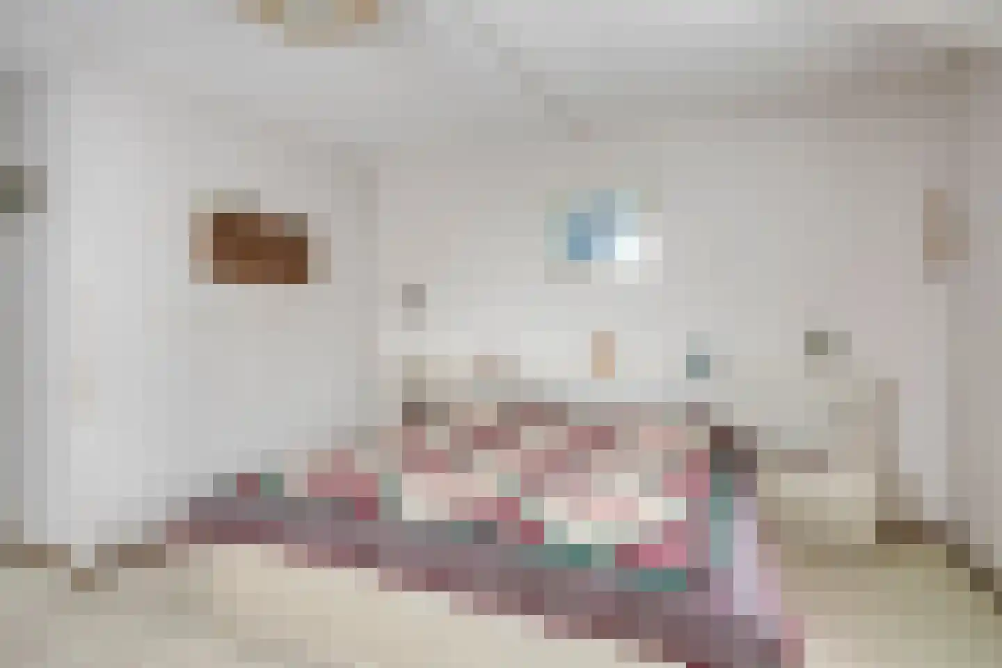 De Caascooper 8 Wormer thumbnail 26