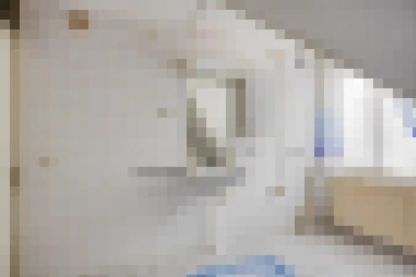 De Caascooper 8 Wormer thumbnail 28