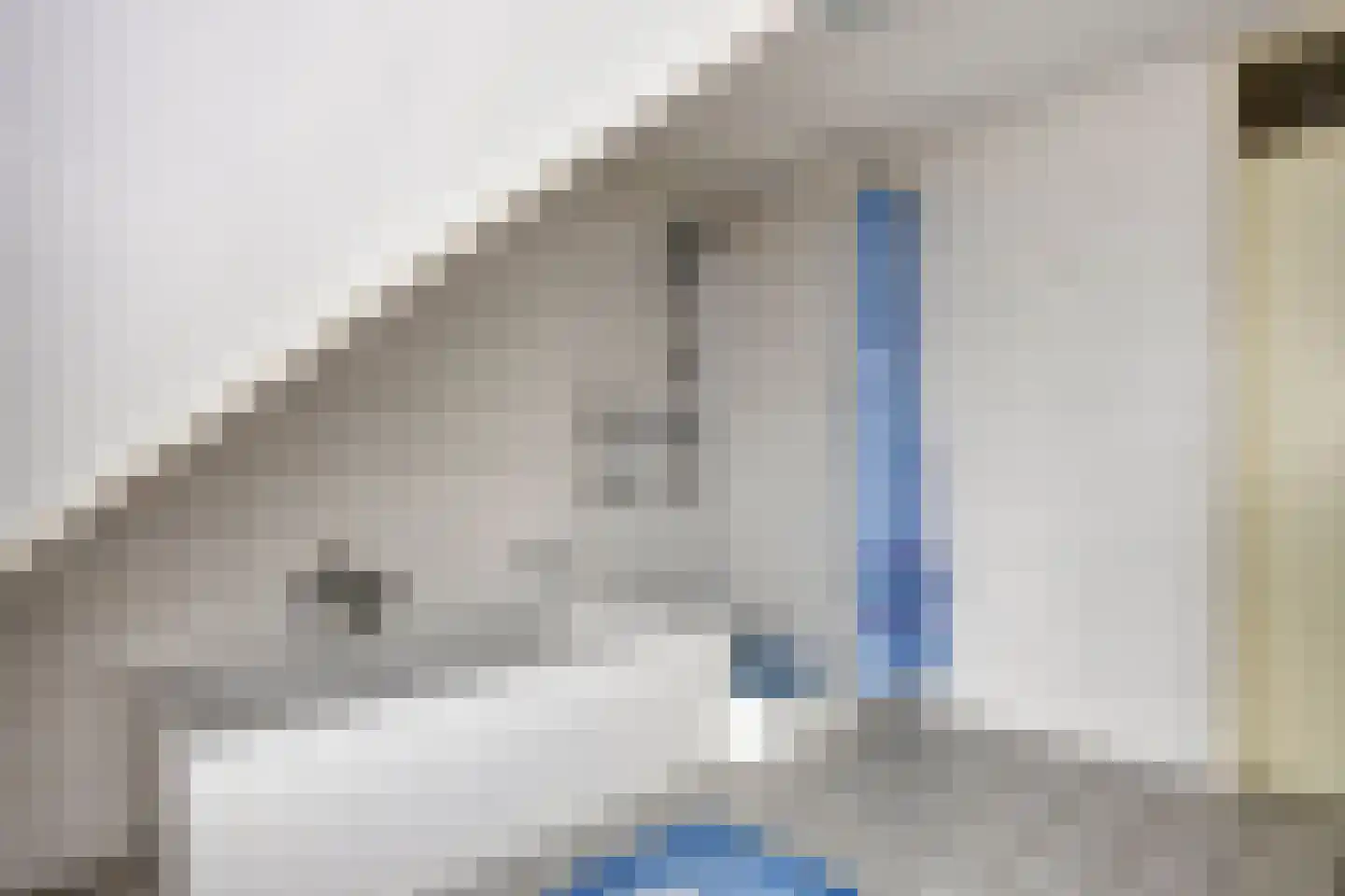 De Caascooper 8 Wormer thumbnail 29