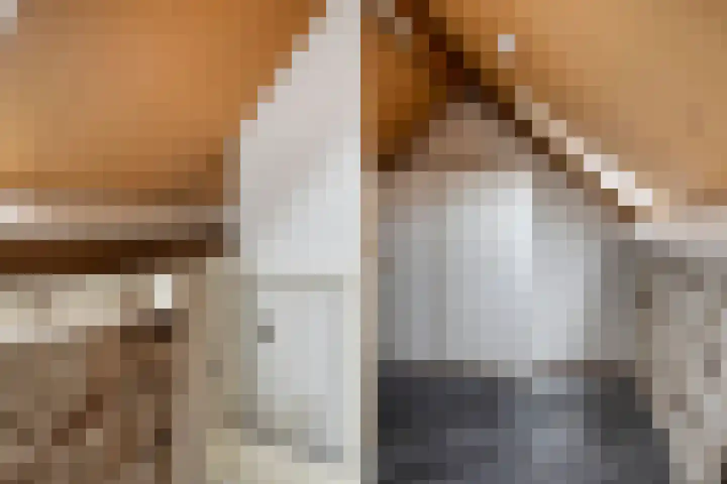 De Caascooper 8 Wormer thumbnail 38