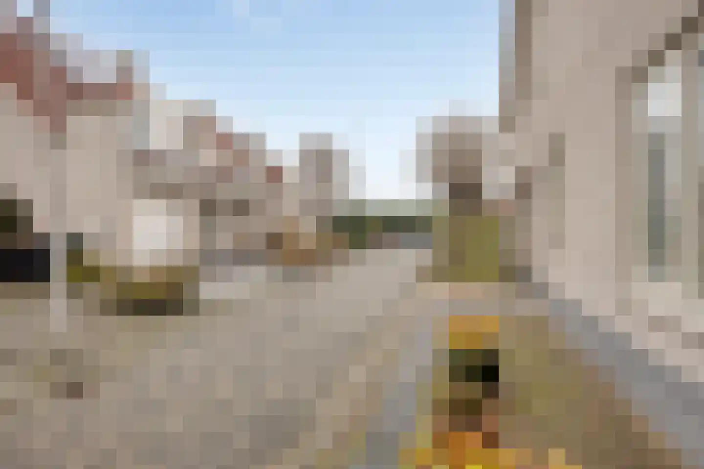 De Caascooper 8 Wormer thumbnail 44
