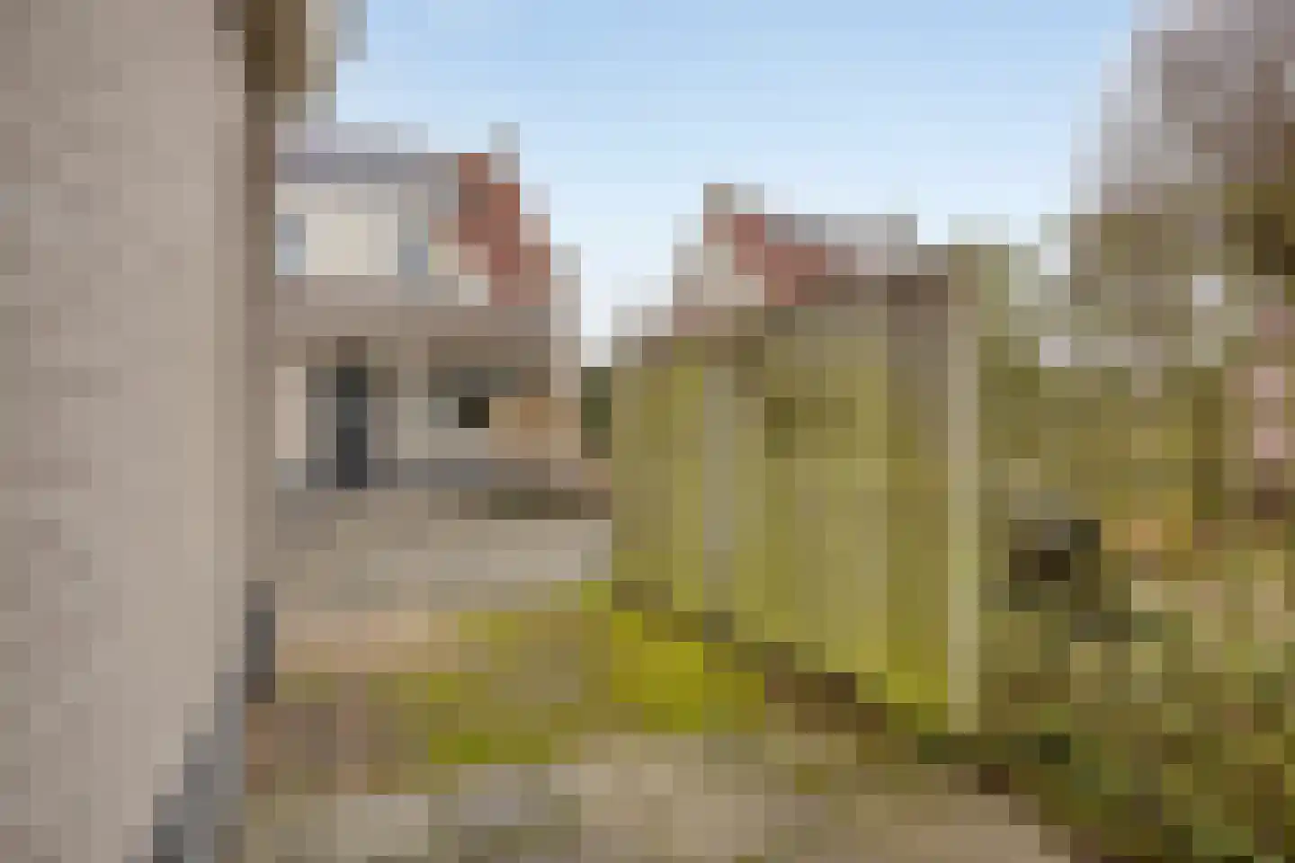 De Caascooper 8 Wormer thumbnail 45
