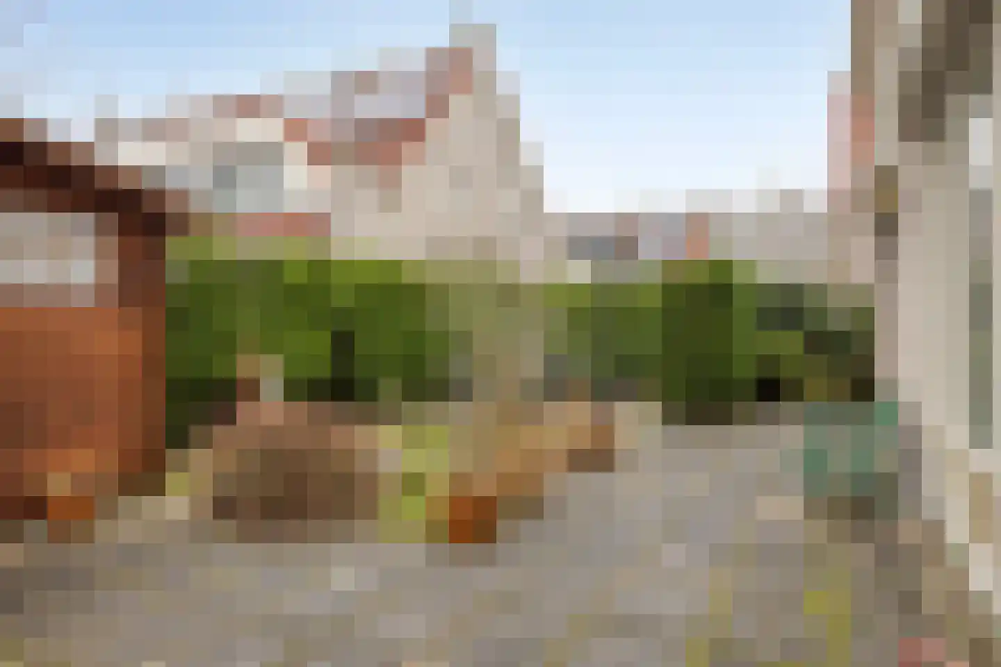 De Caascooper 8 Wormer thumbnail 46