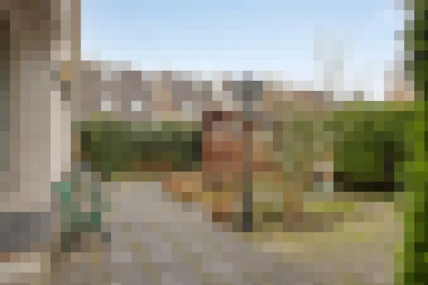 De Caascooper 8 Wormer thumbnail 47