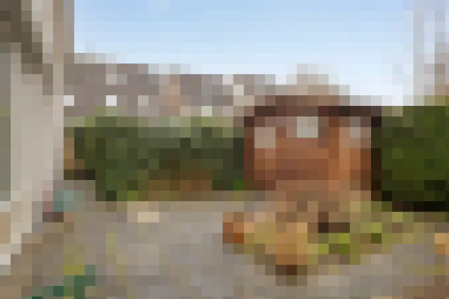 De Caascooper 8 Wormer thumbnail 52