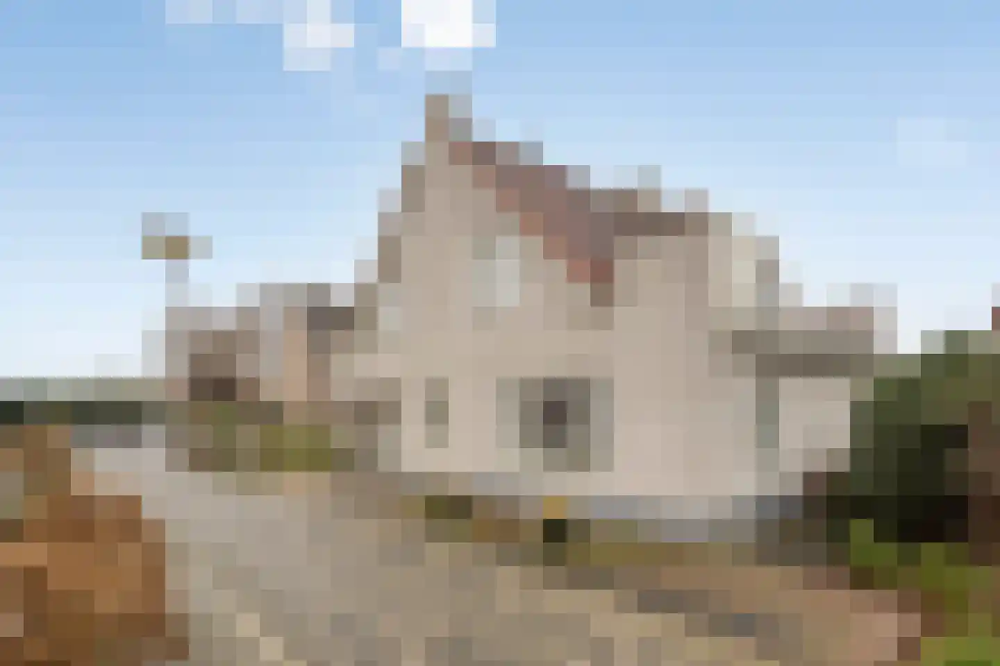De Caascooper 8 Wormer thumbnail 57