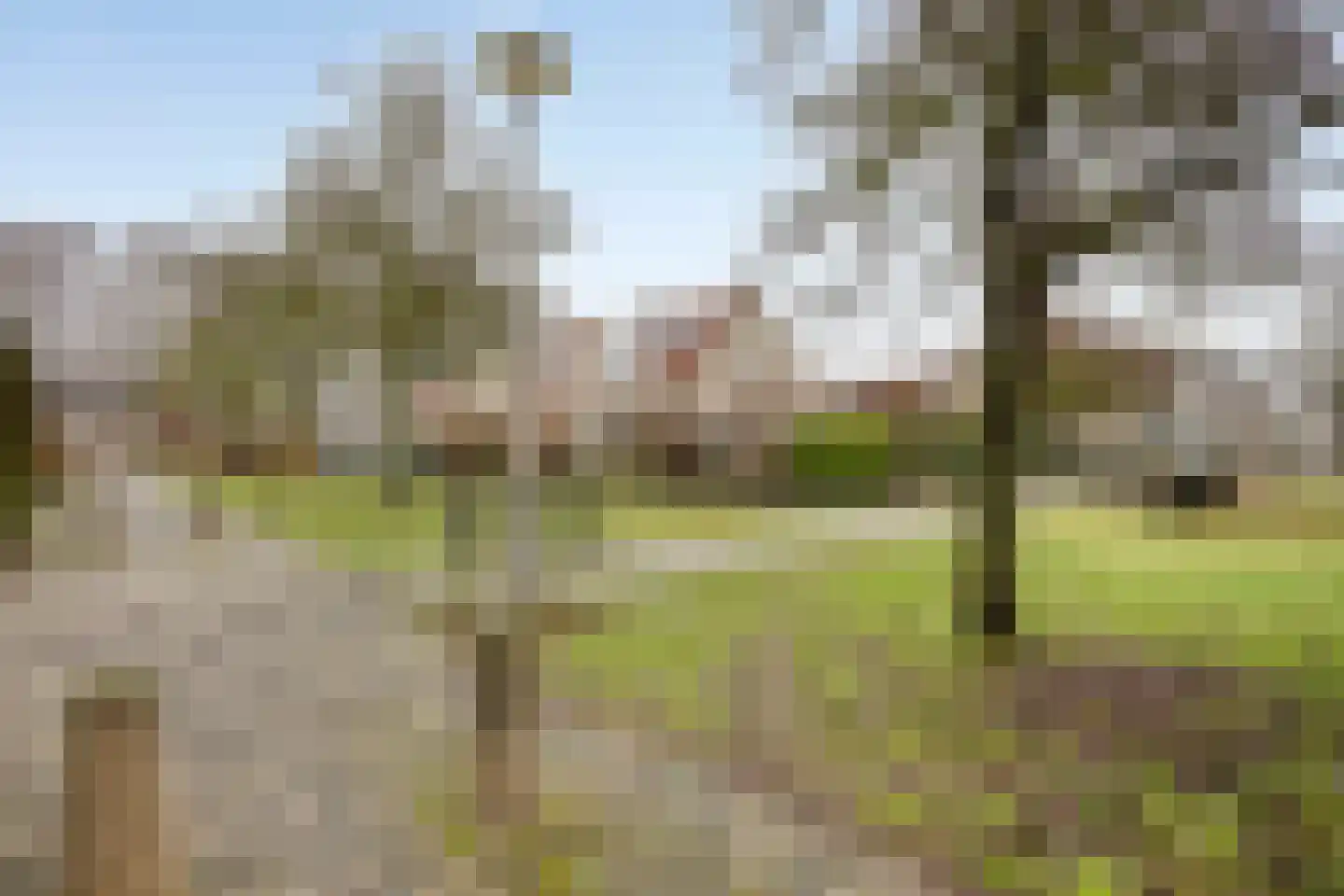 De Caascooper 8 Wormer thumbnail 60