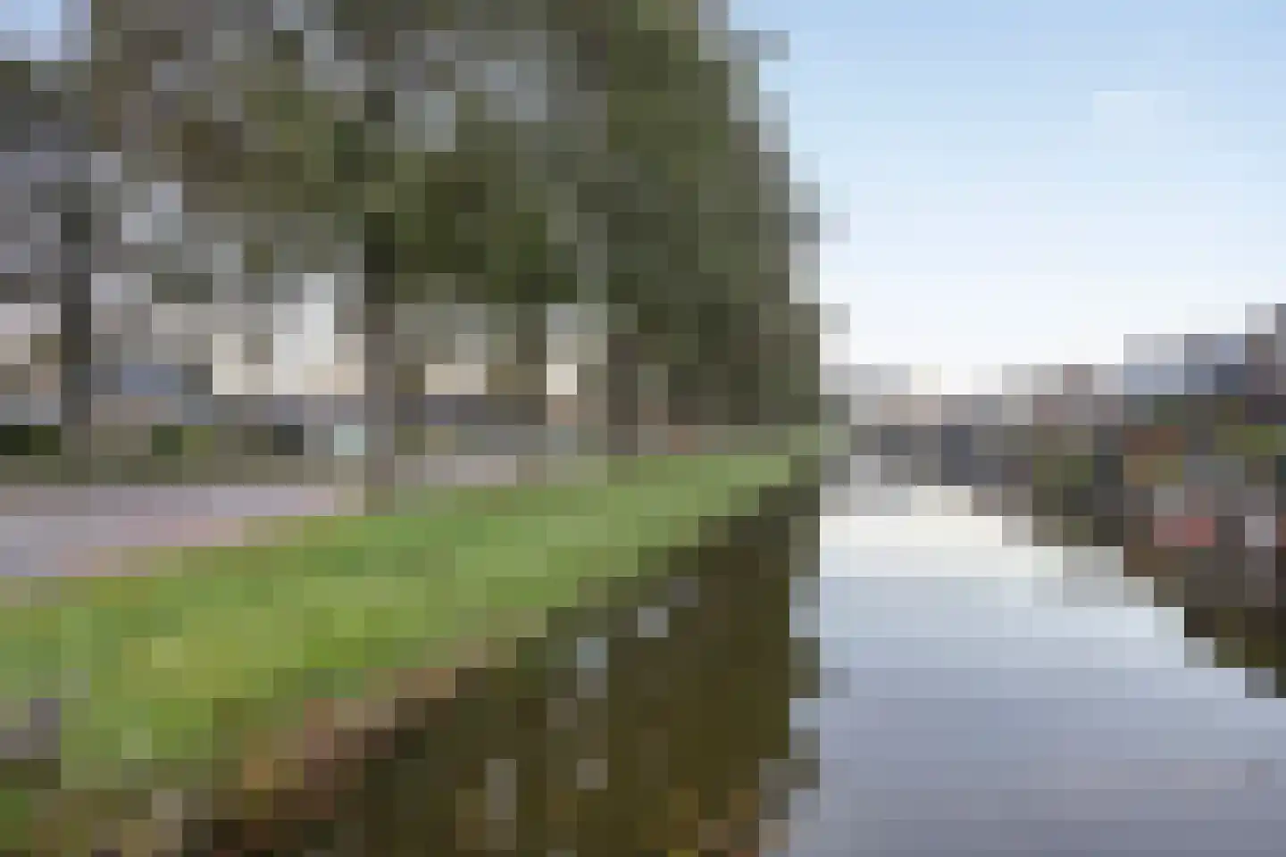 De Caascooper 8 Wormer thumbnail 63