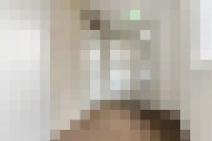 de Callenburgh 22 Helmond thumbnail 10