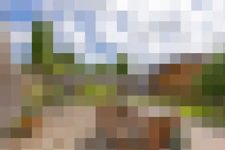 de Callenburgh 22 Helmond thumbnail 28