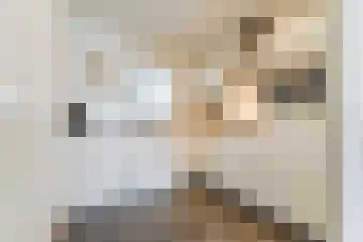 de Callenburgh 22 Helmond thumbnail 4