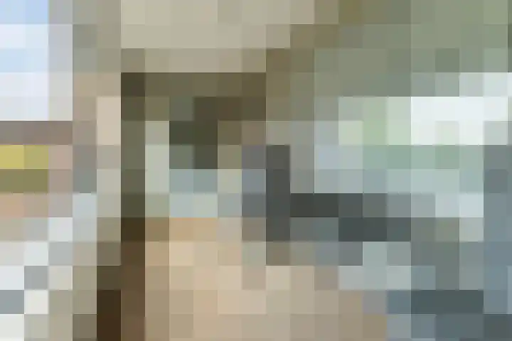 de Callenburgh 22 Helmond thumbnail 5