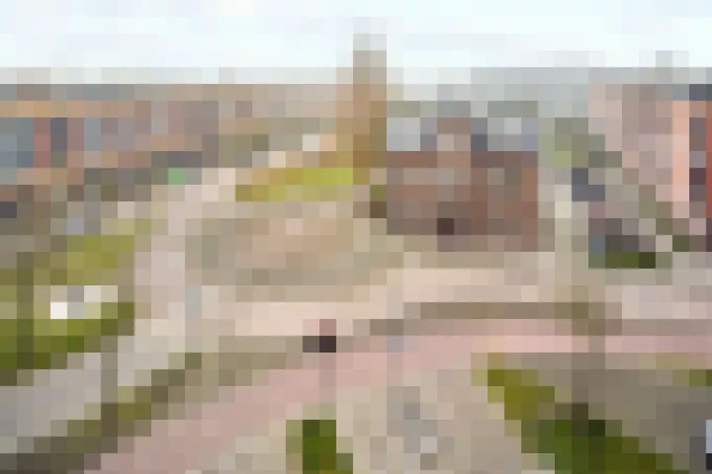 de Callenburgh 64 Helmond thumbnail 11