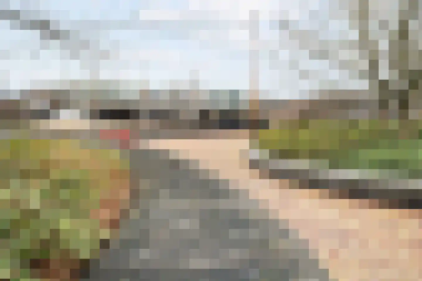 de Callenburgh 64 Helmond thumbnail 29