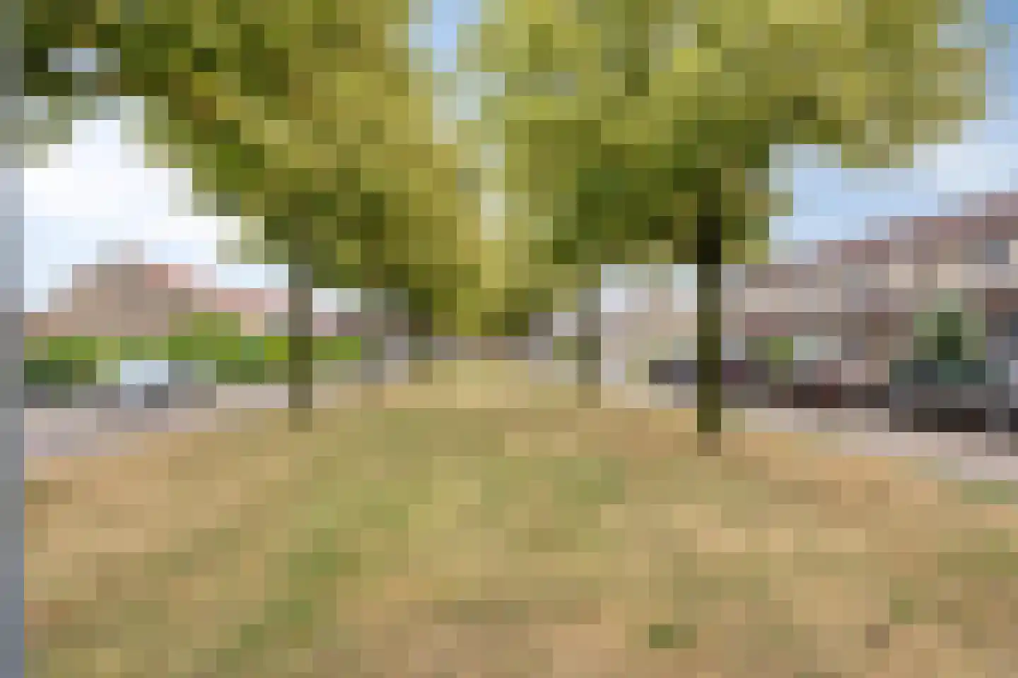 De Camp 49 Westervoort thumbnail 37