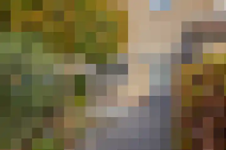 De Camp 69 Westervoort thumbnail 8