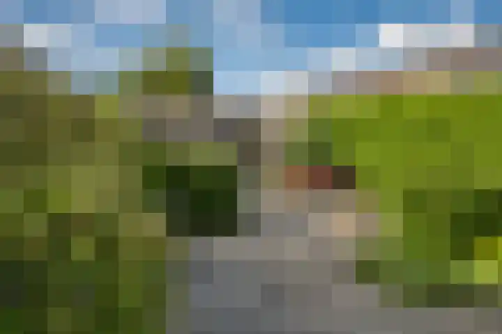 De Camp 75 Westervoort thumbnail 35