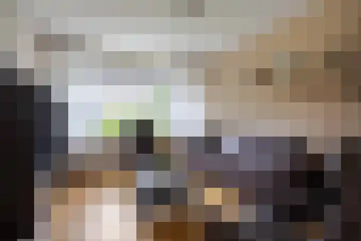 De Capel 4 Ulrum thumbnail 11