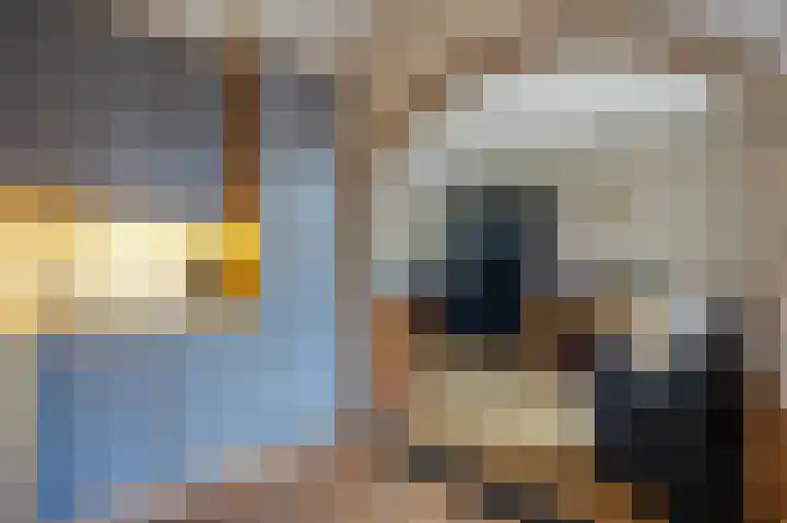 De Capel 4 Ulrum thumbnail 14