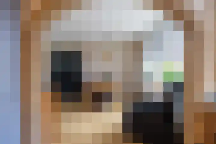 De Capel 4 Ulrum thumbnail 15