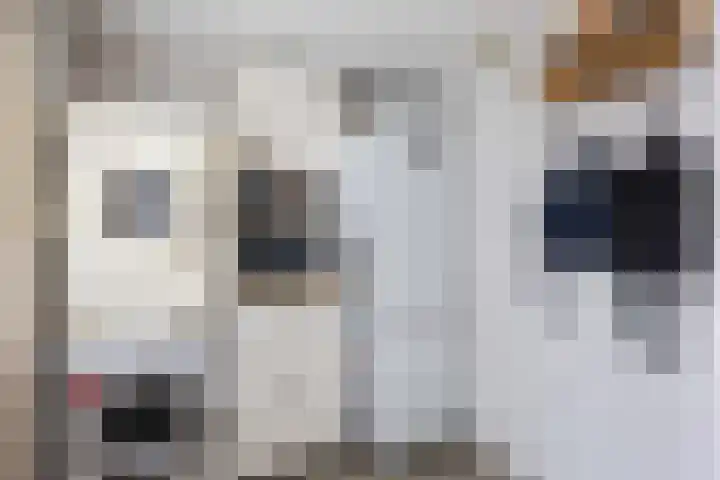 De Capel 4 Ulrum thumbnail 17