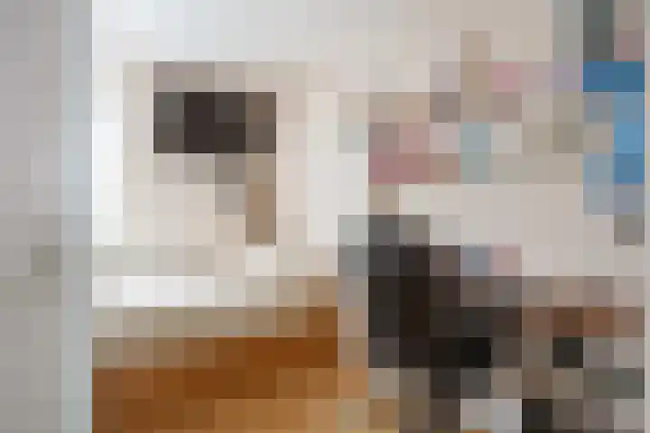 De Capel 4 Ulrum thumbnail 21