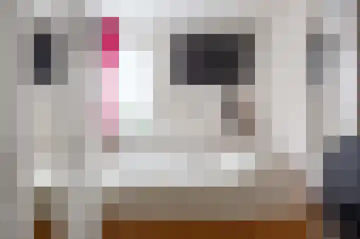 De Capel 4 Ulrum thumbnail 22