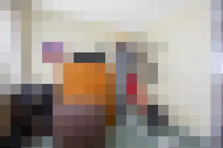 De Capel 4 Ulrum thumbnail 27