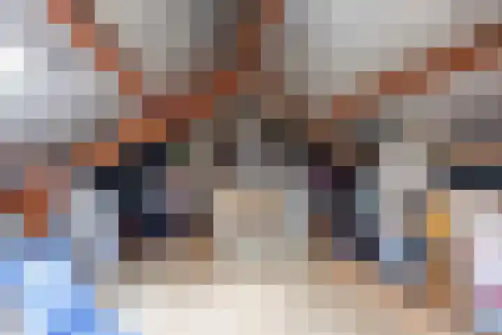 De Capel 4 Ulrum thumbnail 30