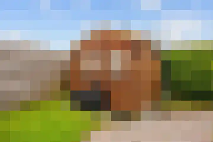 De Capel 4 Ulrum thumbnail 32